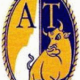 ATLETICO TORINO